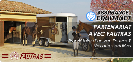 assurance van chevaux